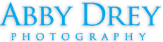 Abby Drey Logo